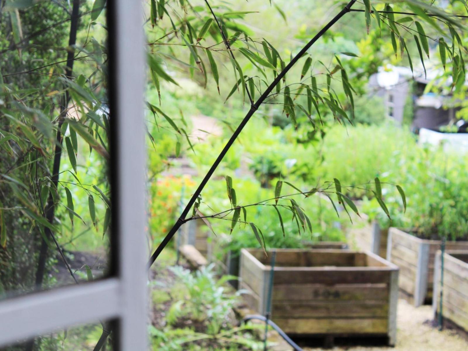 Country house Arumvale Country Retreat Swellendam